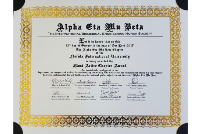 Alpha Eta Mu Beta Awarded Most Active Chapter at BMES